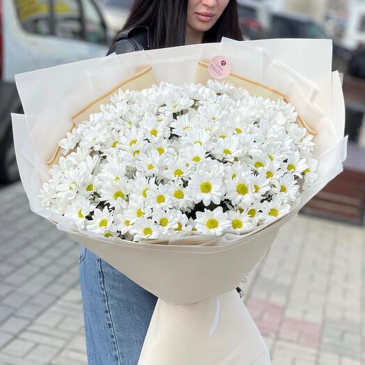 Букет гигант ромашек