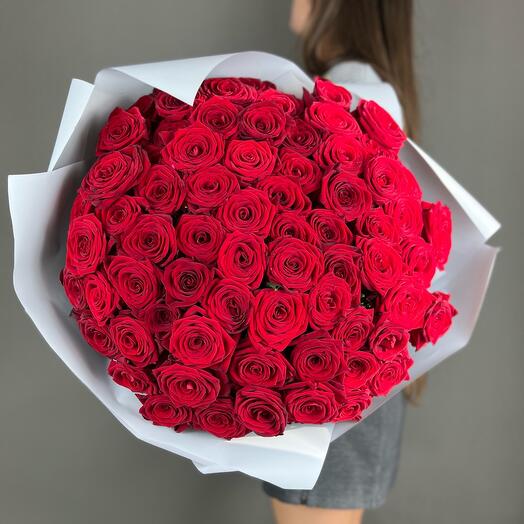 Rosas rojas 69pcs