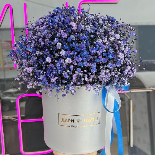 Гипсофила в коробке