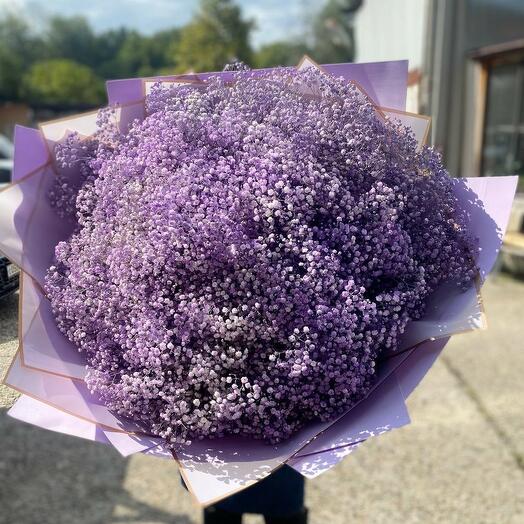 Mono ramo de gypsophila " lavender "