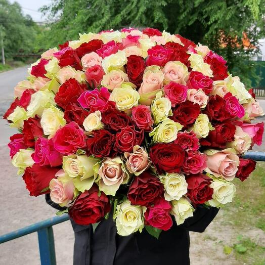 101 rosa mezcla