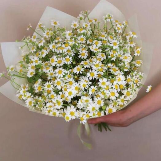 Daisies