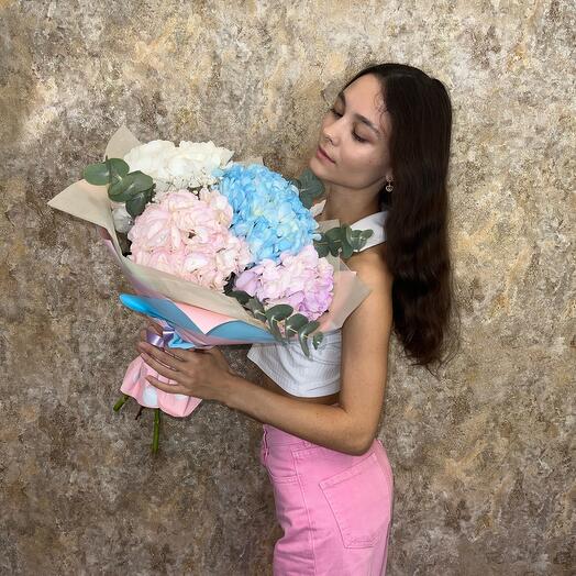 Hydrangea love