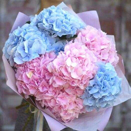Букет шикарной Гортензия 💕