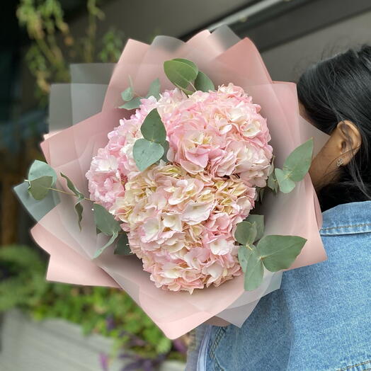 Розовые гортензии 💕
