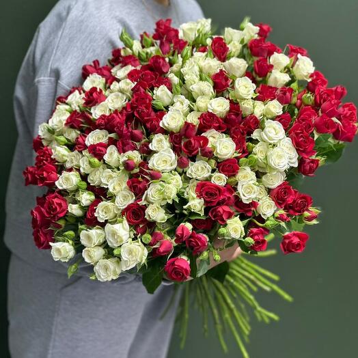 Микс роза кустовая