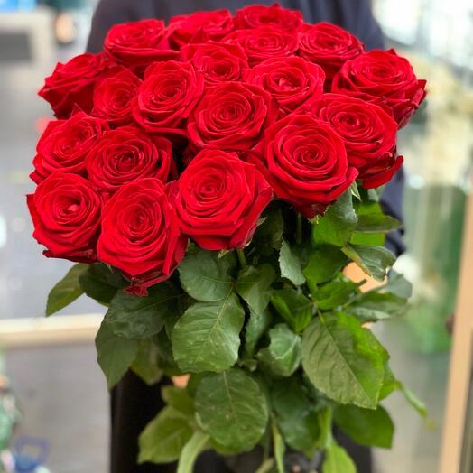 Monookette de 19 Rosas red Naomi