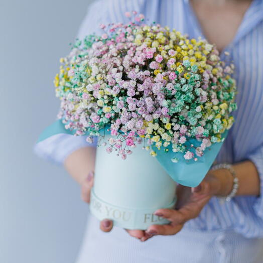 Gipsofila colorida em caixa