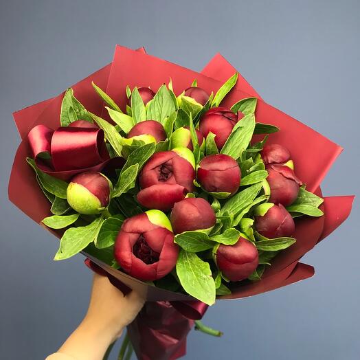 Пионы бордовые 15 шт