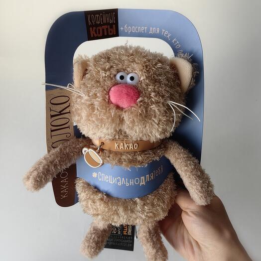 Кот какао