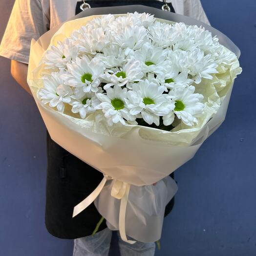 «CHAMOMILE»
