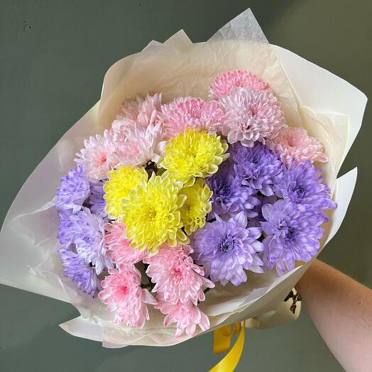 7 разноцветных хризантем