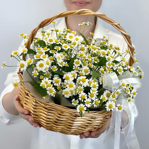 Корзина с ромашками танацетумом