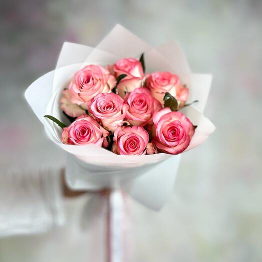 Jumilia Roses