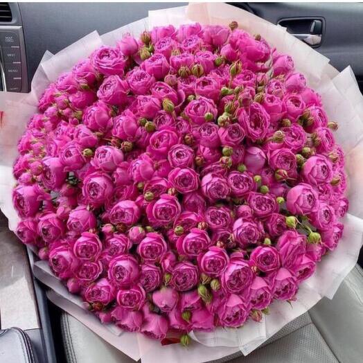 101 мисти бабблс