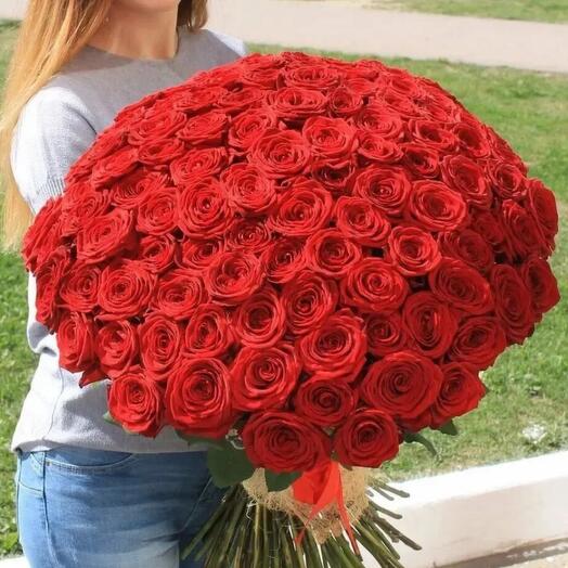 101 ароматная Роза 🌹