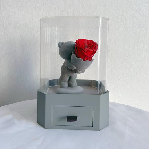 Lovely bear acrylic box with preserved rose