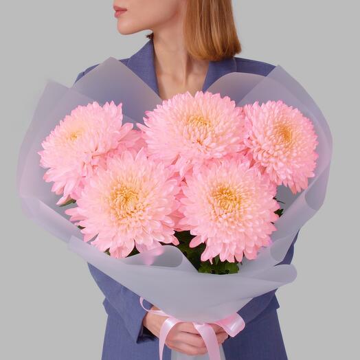 Pink Premium Chrysanthemum 5 pcs
