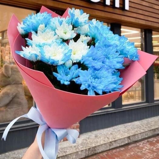 Синие хризантемы