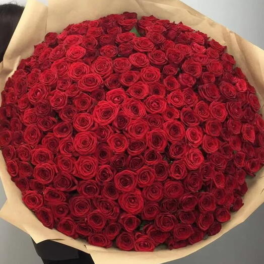 303 Red roses