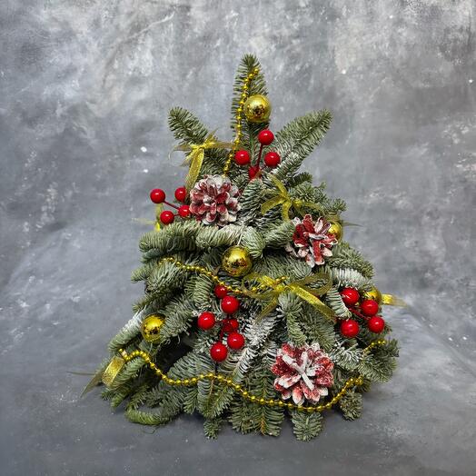 Счастливый 2025 мини ёлочка из живой хвои