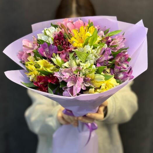Alstroemeria mix 15