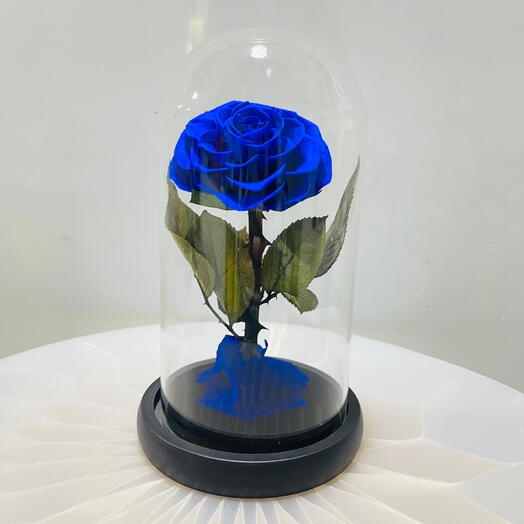 Infinity Blue Preserved Rose in Glass Dome – A Lovely Valentine s Gift