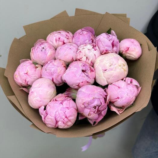 Sarah Bernhardt peonies 15 pieces