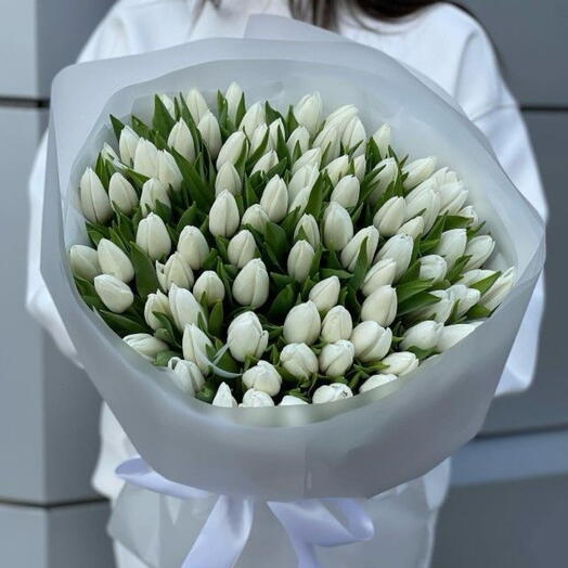 Tulip white 79 stems