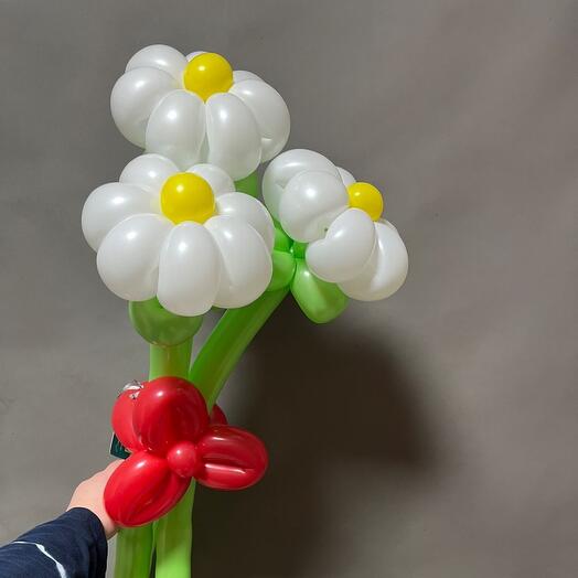 Букет из Шаров ромашки белые