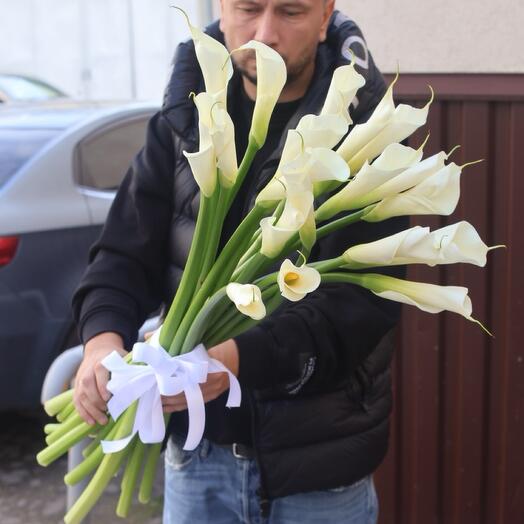 15 white calla lilies