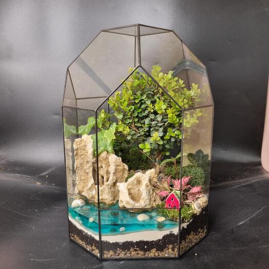 Флорариум с бонсаем Мирсина в Тепличке М