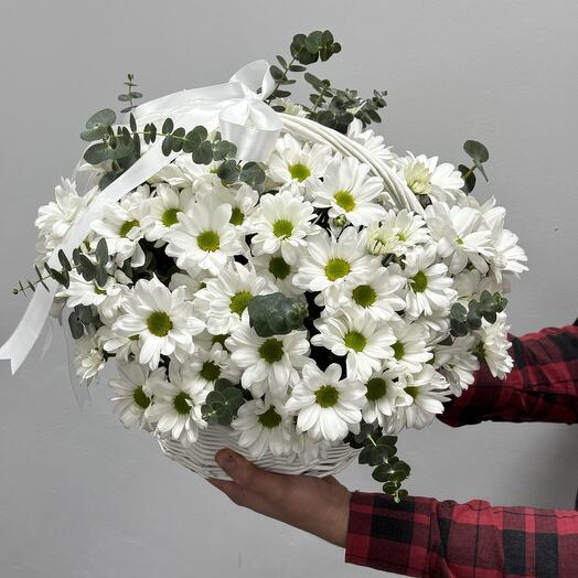 Корзина из ромашковой хризантемы