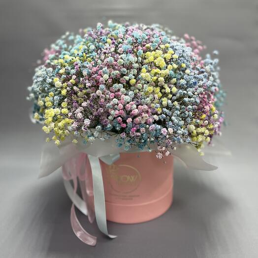 A large box of gypsophila