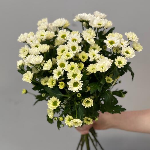 Букет из 7 кустовых ромашек