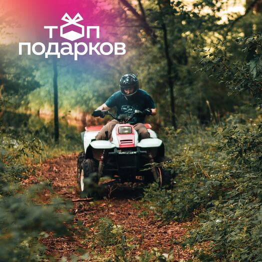 Подарочный сертификат Активный выходной: конная прогулка+катание на квадроцикле, 1 чел., 120 мин