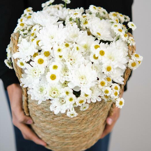 Букет "Daisy Breeze"