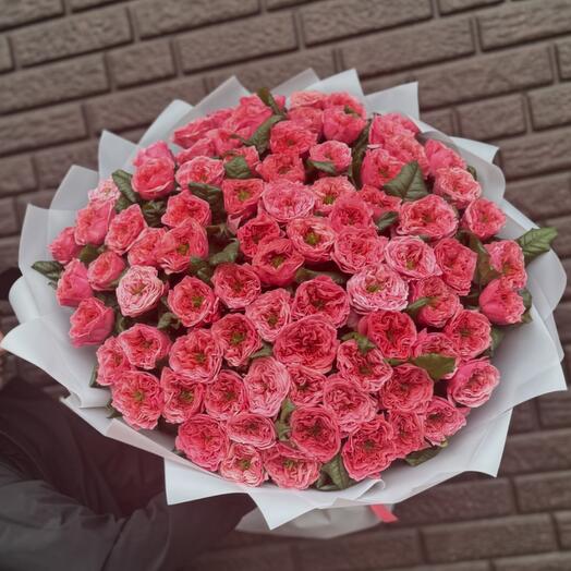 79 роз Ридженс Парк