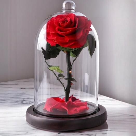 Eternal Red Infinity Rose in Glass Dome – Single Preserved Rose Gift for Valentine s Day, Anniversary   Home Decor
