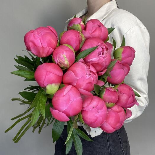 Коралловые пионы