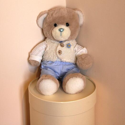 Стильный мишка в перламутровой шляпной коробке