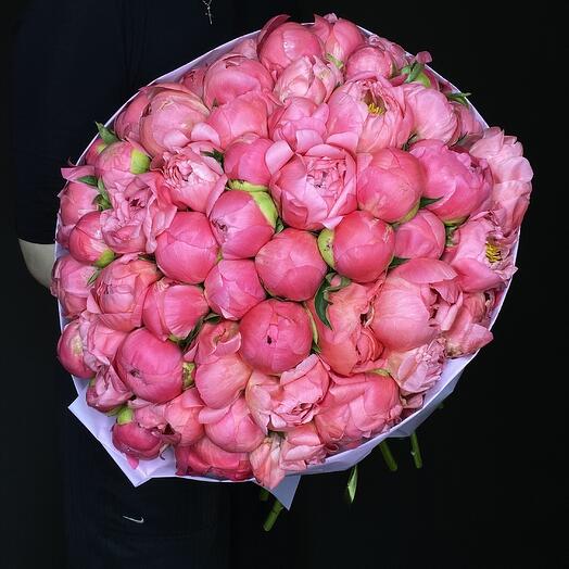 51 пион