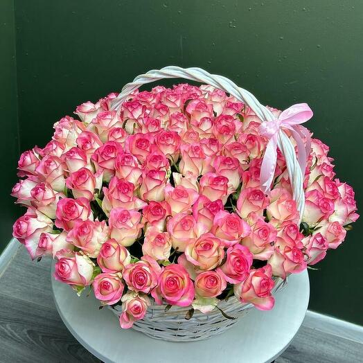 Жемчужина красоты джумилия в корзине 101