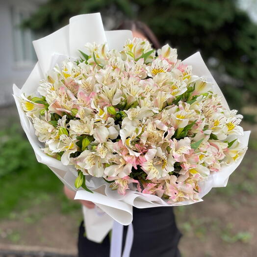 🌷Букет из стойких альстромерий «Жемчужина»🤍