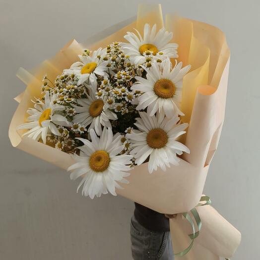 Favorite daisies