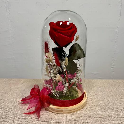 Rosa Dome- rosa preservada - de larga duración, romántica, gracias, pensando en ti, regalo de cumpleaños