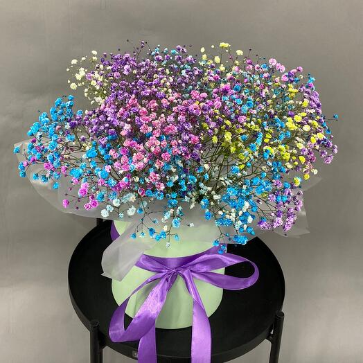 Цветной бокс из гипсофилы средний