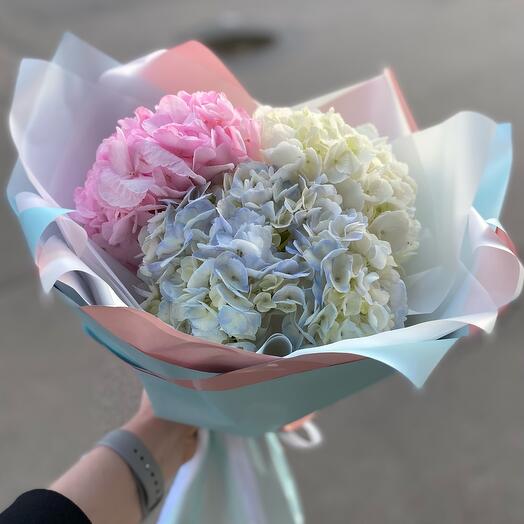 Bouquet of hydrangeas