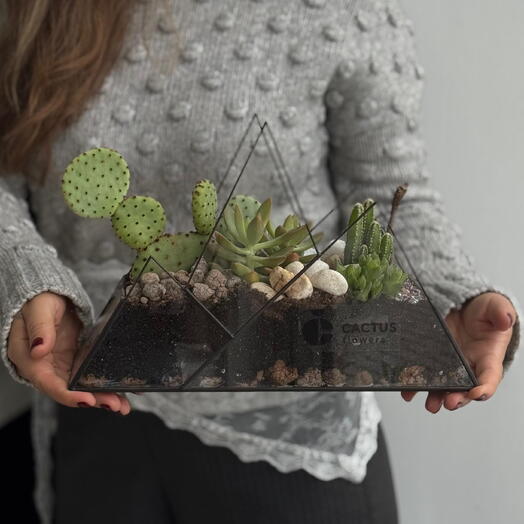 Флорариум Горы с редкими сортами кактусов и суккулентов