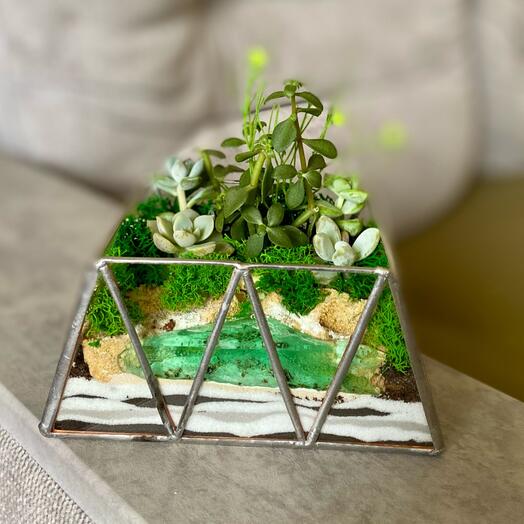 Флорариум «Трапеция» с водоёмом подарок на день рождения